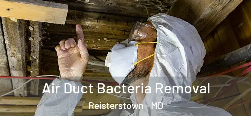 Air Duct Bacteria Removal Reisterstown - MD