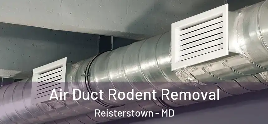 Air Duct Rodent Removal Reisterstown - MD