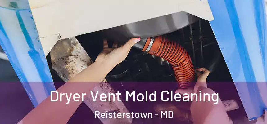 Dryer Vent Mold Cleaning Reisterstown - MD
