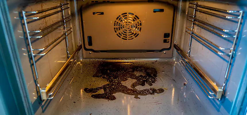 Our Dryer Vent Mold Cleaning Services in Reisterstown, MD