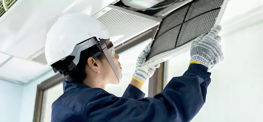 Our Mold & Mildew Removal from Air Ducts Services in Reisterstown, MD