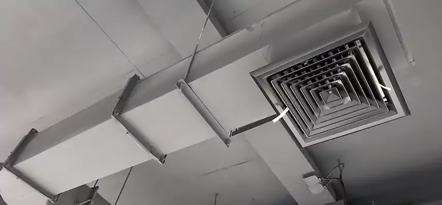 Our Pest Removal From Ducts Services in Reisterstown, MD