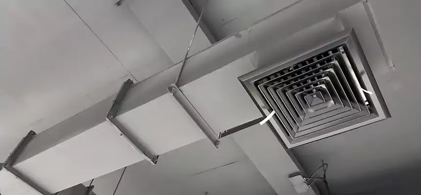 Our Rodent Droppings In Vents Services in Reisterstown, MD