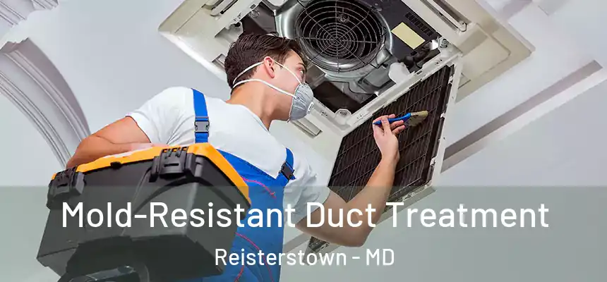 Mold-Resistant Duct Treatment Reisterstown - MD