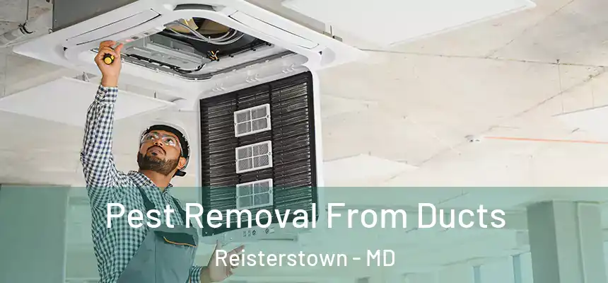  Pest Removal From Ducts Reisterstown - MD