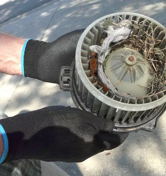 About Air Duct Mice Removal in Reisterstown, MD