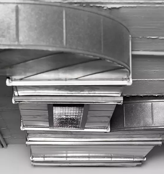 Professional Air Duct Pet Hair Removal in Reisterstown, MD