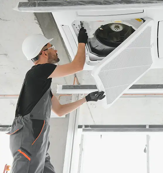 About Air Duct Rodent Removal in Reisterstown, MD