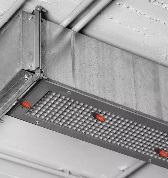 Affordable Insect Removal from Air Ducts in Reisterstown, MD