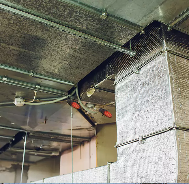 Why Homeowners & Businesses Trust Us in Reisterstown, MD?